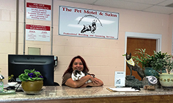 Welcome to the Pet Motel and Salon